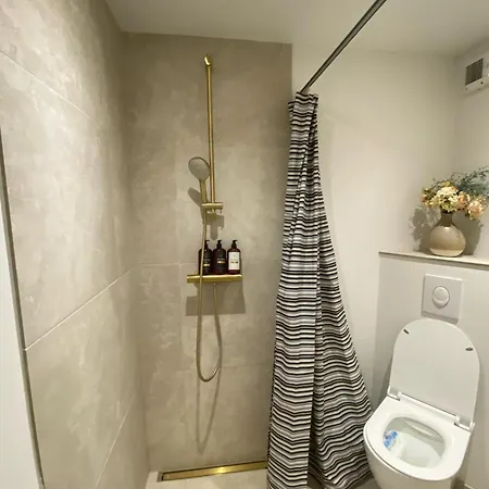 Moderne Bybolig Taet Pa Park Og Centrum Apartment Horsens